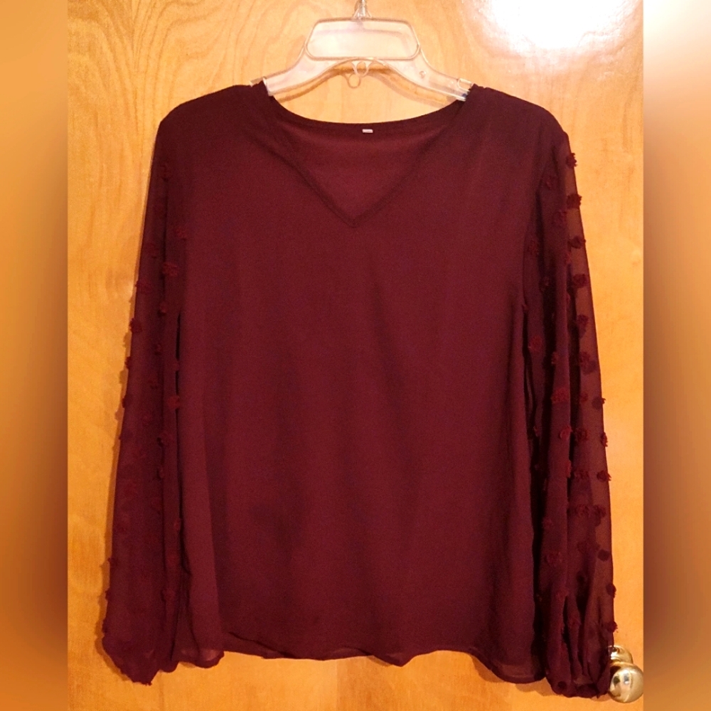 NWOT Swiss Dot blouse